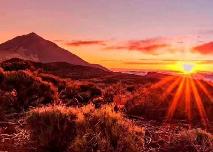 Appartement Amazing In Americas Playa de las Américas